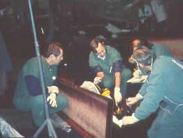 RO-9804-2-3.jpg (11471 bytes)